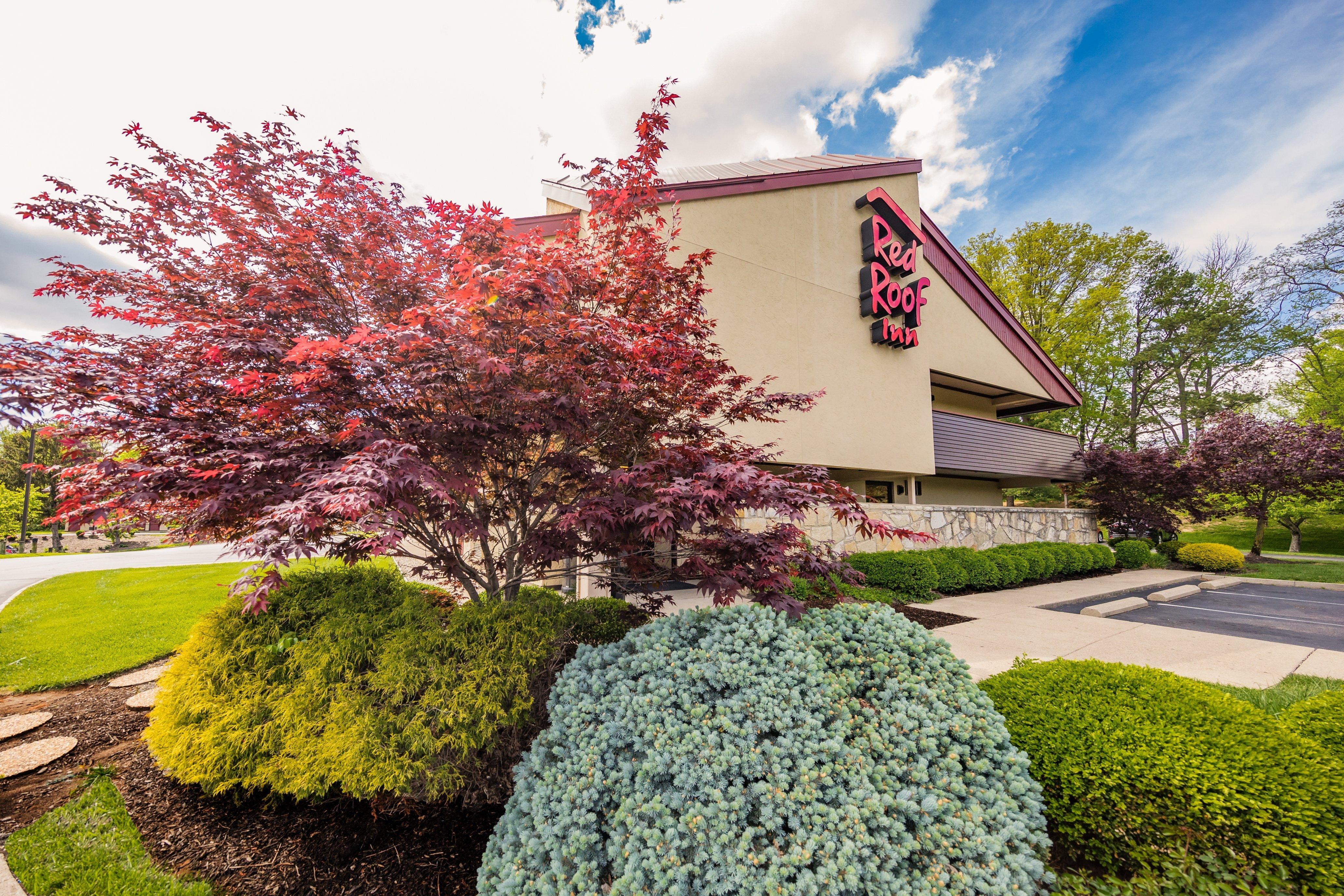 Red Roof Inn Cincinnati Northeast - בלו אש מראה חיצוני תמונה