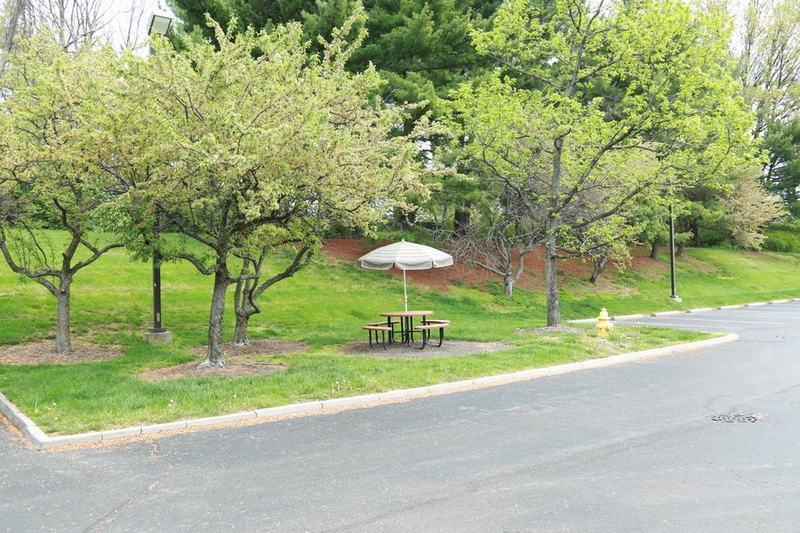 Red Roof Inn Cincinnati Northeast - בלו אש מראה חיצוני תמונה